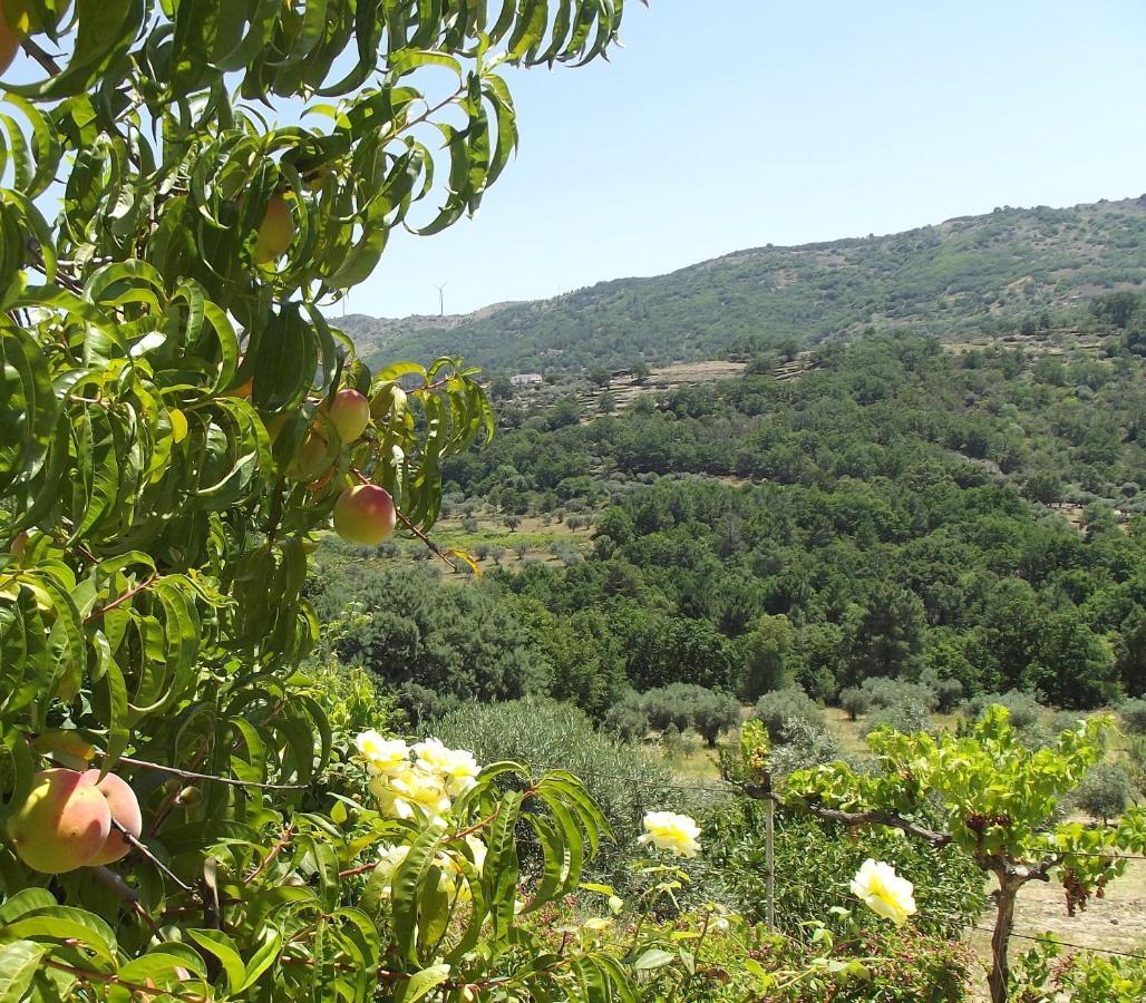 과르다 Quinta Do Pina 아파트 외부 사진