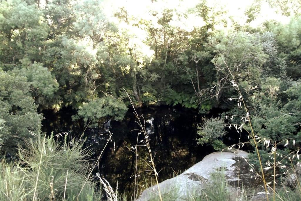 과르다 Quinta Do Pina 아파트 외부 사진